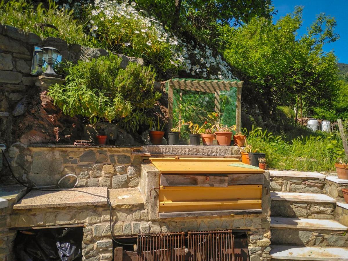 Glamping La Valle Degli Orti *