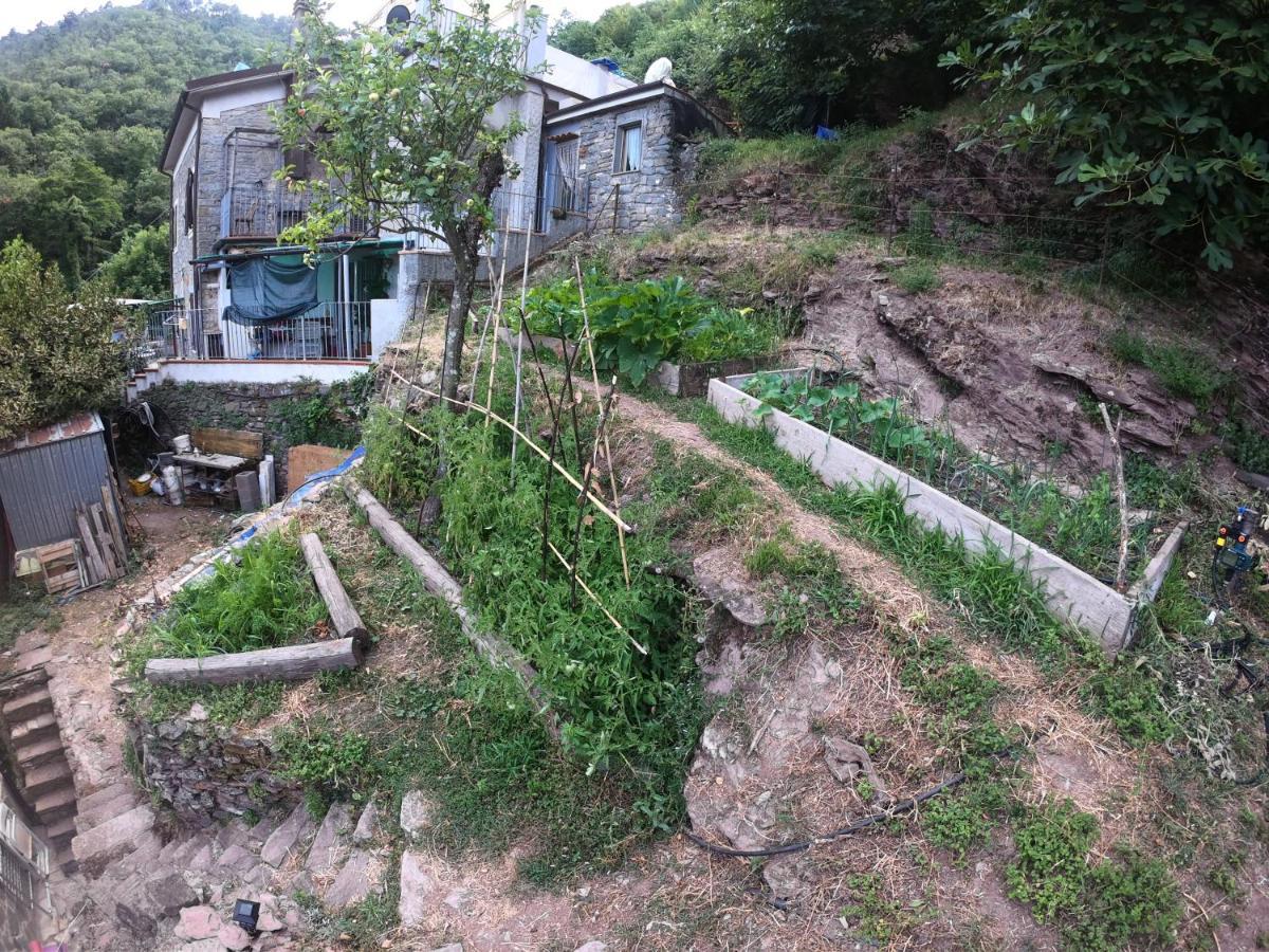 Glamping La Valle Degli Orti La Spezia