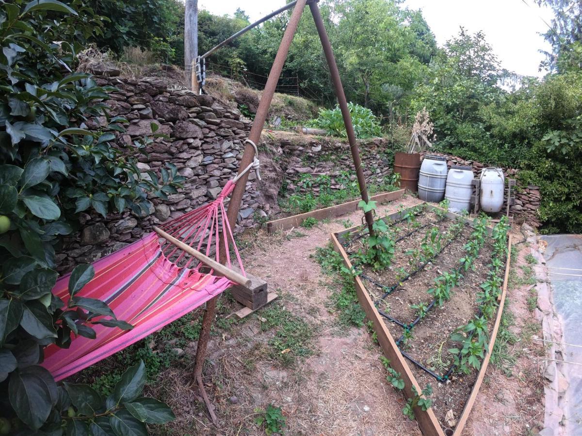 La Valle Degli Orti Glamping